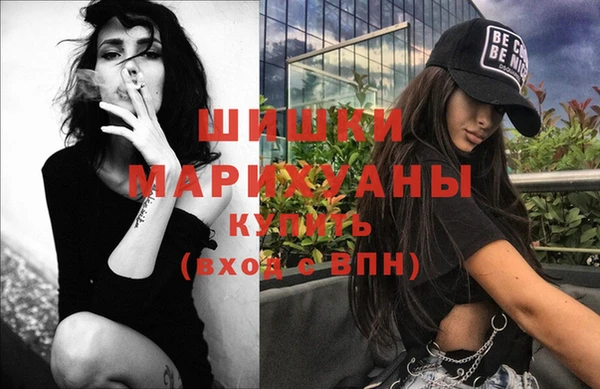 дживик Алексин