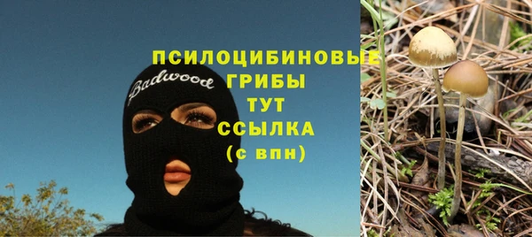 ECSTASY Алексеевка