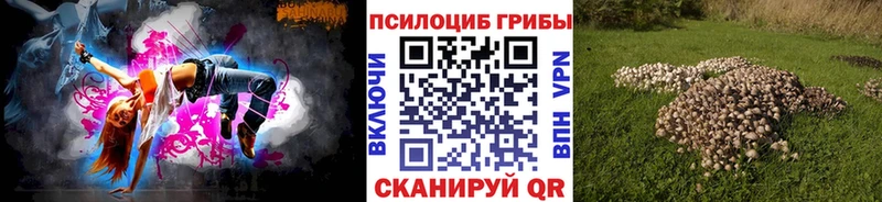 Псилоцибиновые грибы GOLDEN TEACHER  Грязовец 